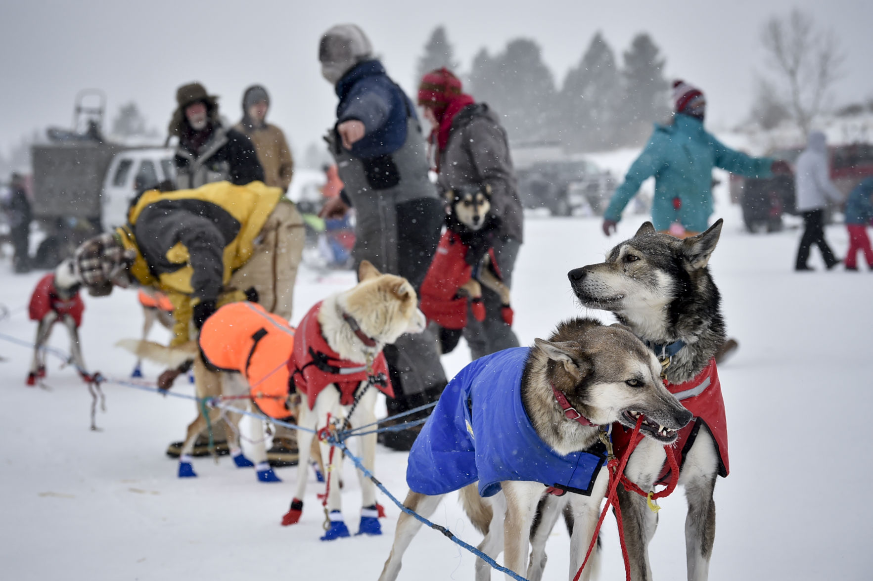 Race to the Sky 2019